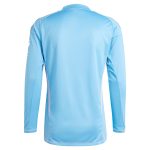 aston villa adidas goalkeeper shirt 2024-25 – long sleeve – 201964005 with custom printing Collection | AVFC Fan Shop Official Jerseys and Shirts