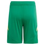 aston villa adidas goalkeeper shorts 2024-25 – 201964010 with custom printing Collection | AVFC Fan Shop Official Jerseys and Shirts