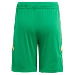 aston villa adidas goalkeeper shorts 2024-25 – kids – 201964012 Collection | AVFC Fan Shop Official Jerseys and Shirts