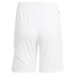 aston villa adidas home shorts 2024-25 with custom printing Collection | AVFC Fan Shop Official Jerseys and Shirts